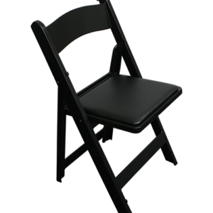 Chair, Resin Black with padded seat